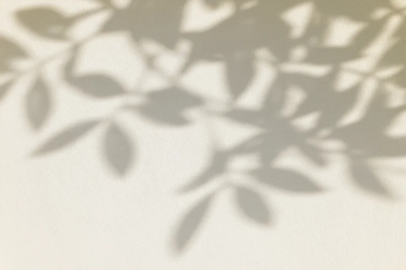 Soft dappled shadows of tropical leaves cast on a beige wall
