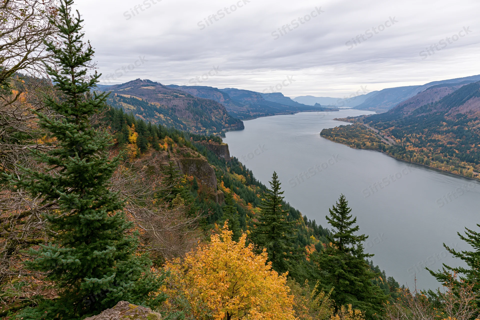 Wide-angle view of a river flowing through a mountain gorge surrounded by autumn forest