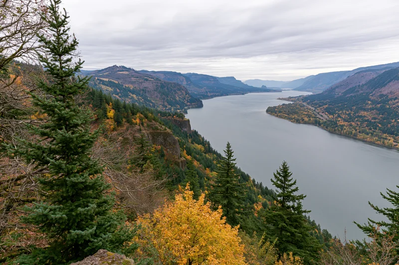 Wide-angle view of a river flowing through a mountain gorge surrounded by autumn forest
