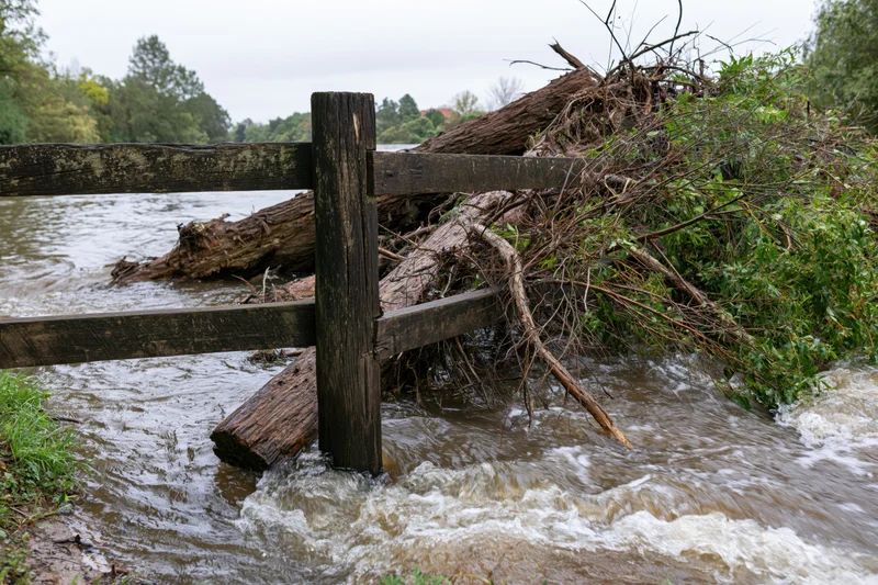 Swollen river rushing past broken wooden fence with uprooted trees and debris in floodwaters