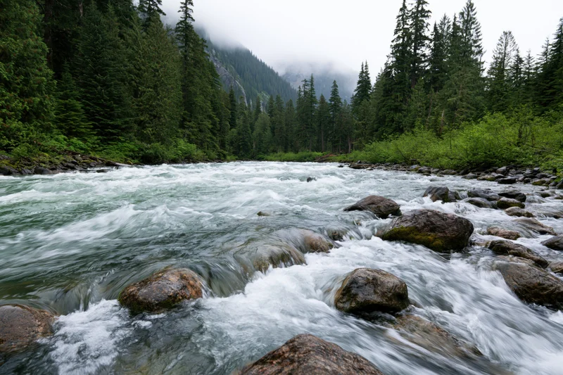 Turbulent glacial river rushing over submerged rocks in a forested mountain valley
