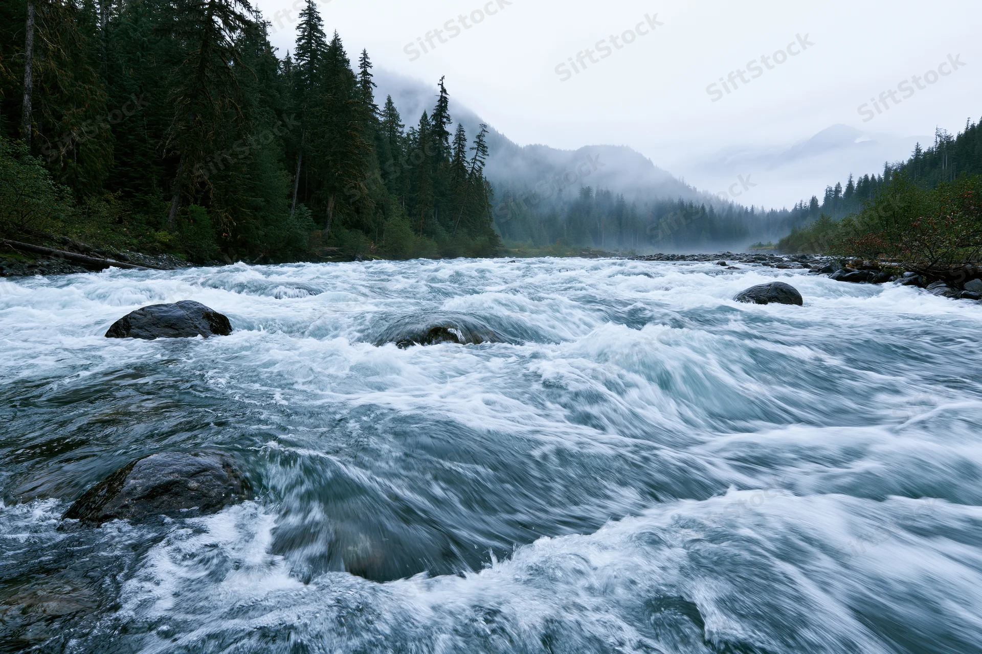 Turbulent glacial river rushing over submerged rocks in a forested mountain valley