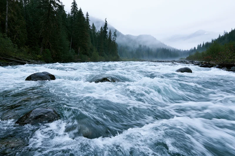 Turbulent glacial river rushing over submerged rocks in a forested mountain valley