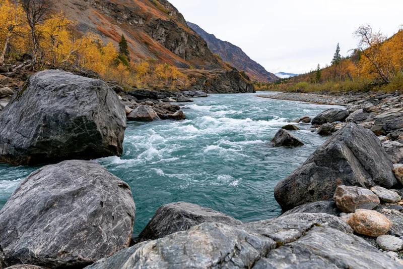 Turquoise glacial river rushing through rocky mountain canyon with autumn foliage on slopes