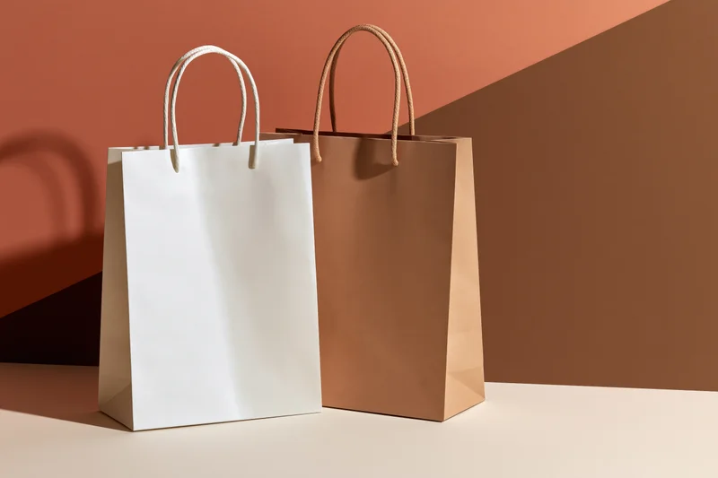 Two paper shopping bags, one white and one brown, standing side by side on a neutral surface against a geometric terracotta and beige backdrop