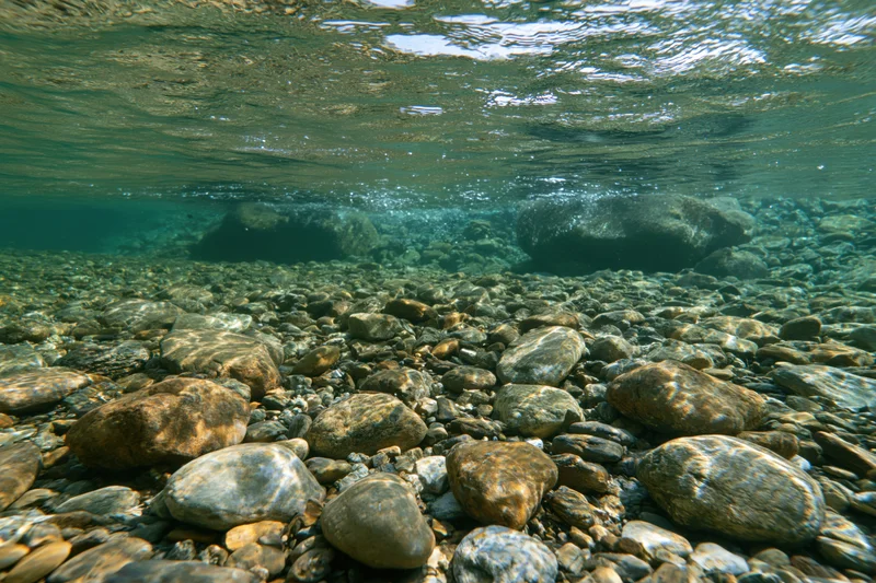 Underwater view of a shallow clear mountain river with smooth rounded rocks on the riverbed