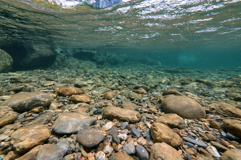 Underwater view of a shallow clear mountain river with smooth rounded rocks on the riverbed