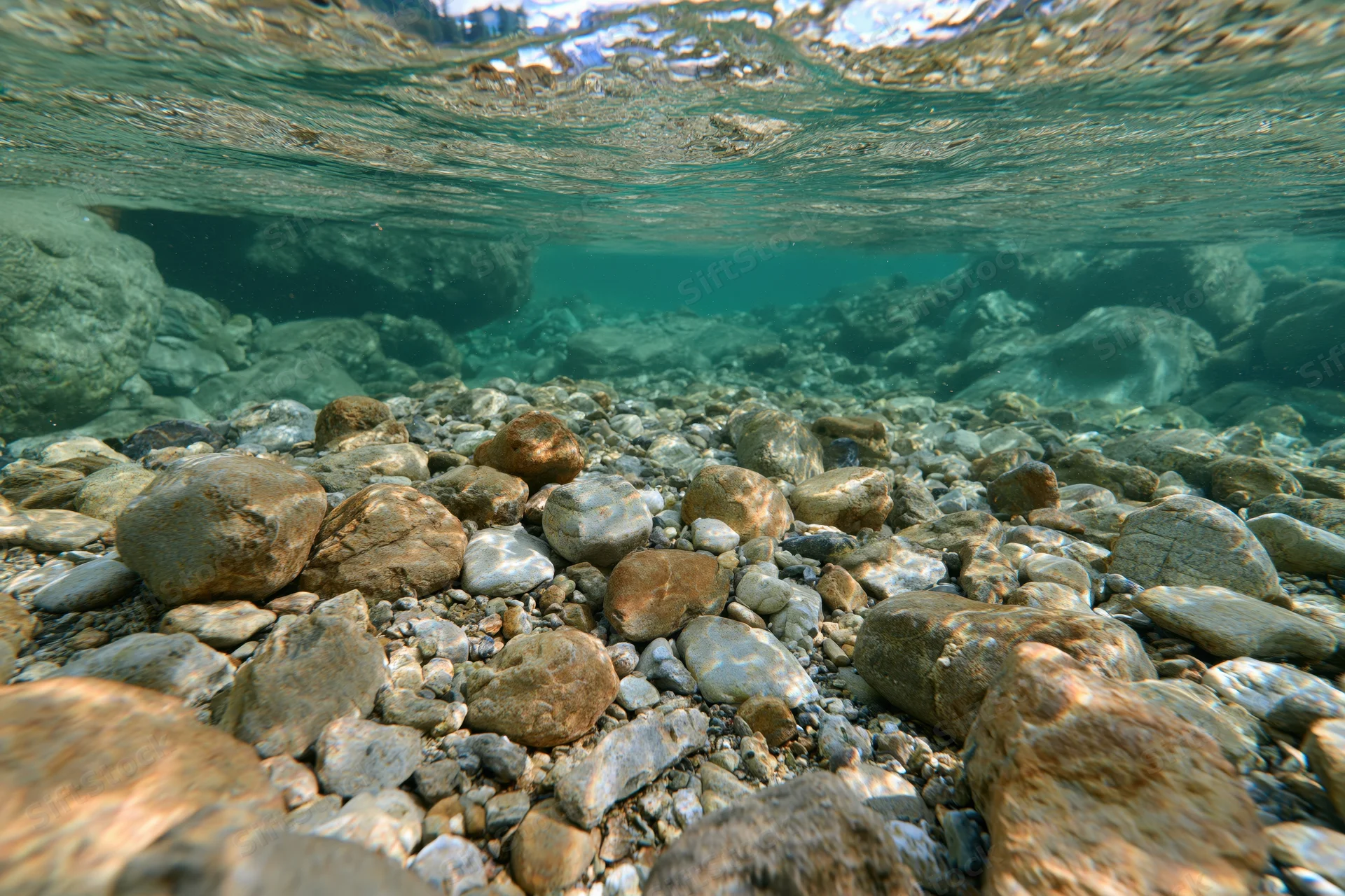 Underwater view of a shallow clear mountain river with smooth rounded rocks on the riverbed