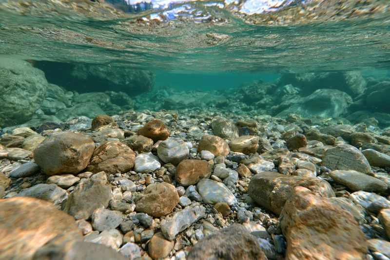 Underwater view of a shallow clear mountain river with smooth rounded rocks on the riverbed