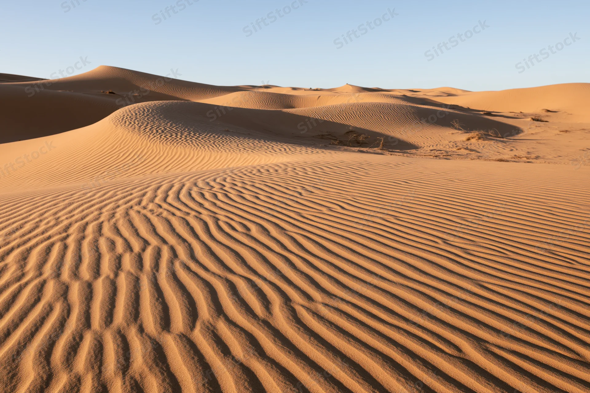 Wind-carved sand dunes stretching across a vast desert landscape under a clear blue sky