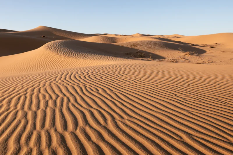 Wind-carved sand dunes stretching across a vast desert landscape under a clear blue sky
