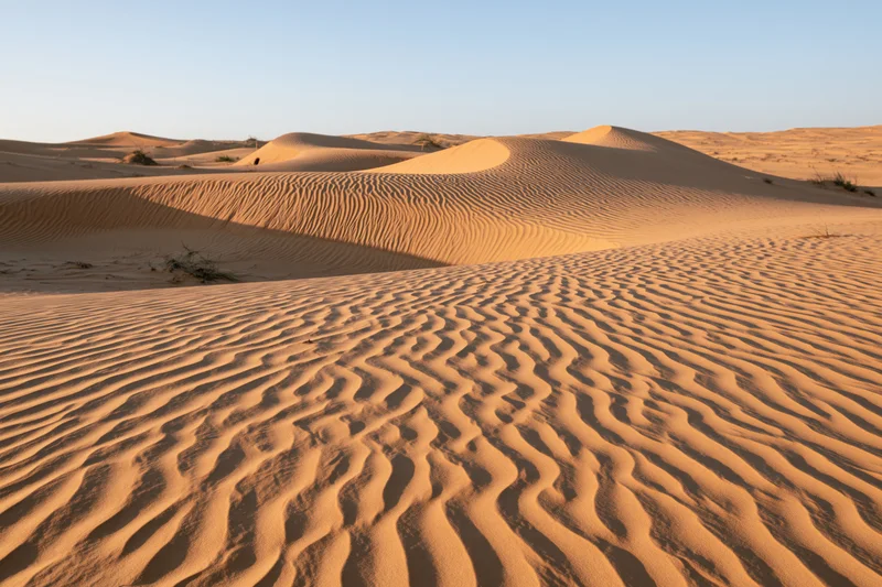Wind-carved sand dunes stretching to the horizon in a vast desert landscape