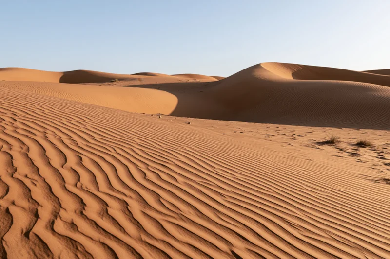 Wind-carved sand dunes stretching to the horizon in a vast desert landscape