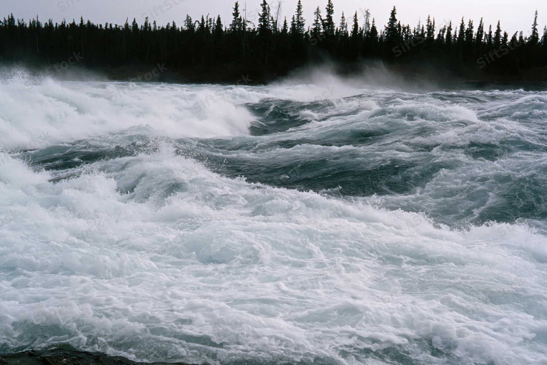 Violent river rapids churning with white water spray and mist near a forested shoreline