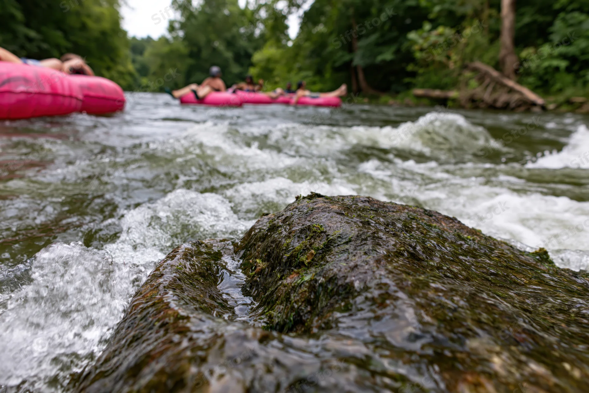 Mossy river rock in foreground with white water rapids and people floating on inflatable tubes in background