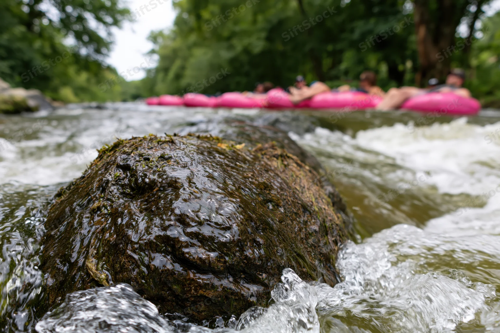 Mossy river rock in foreground with white water rapids and people floating on pink inflatables in background