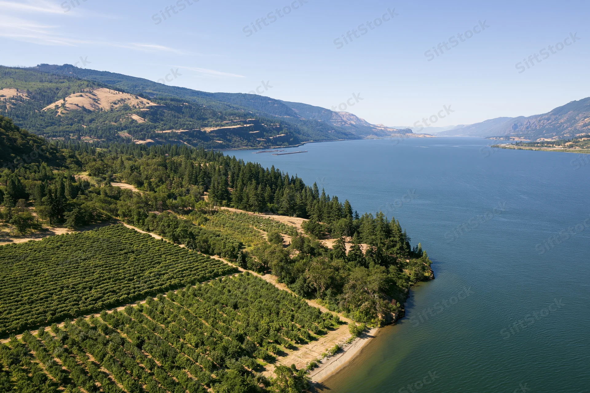 Aerial view of the columbia river gorge with vineyards along the riverbank and forested hillsides