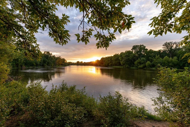 Sunset over calm river framed by trees and foliage in a natural landscape