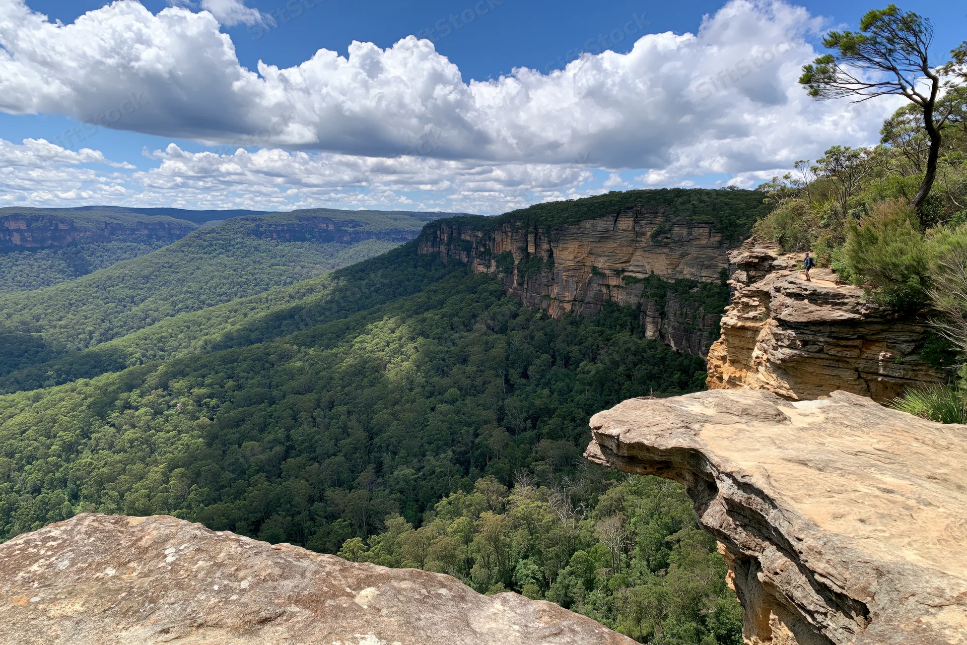 Panoramic view from a sandstone cliff edge overlooking a forested valley and distant mountains