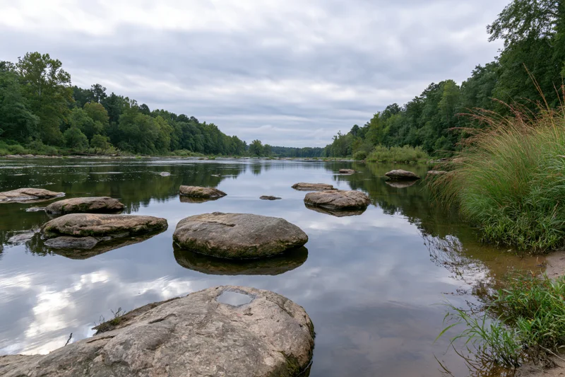 Wide river with scattered sandstone boulders emerging from calm water surrounded by dense forest and overcast sky