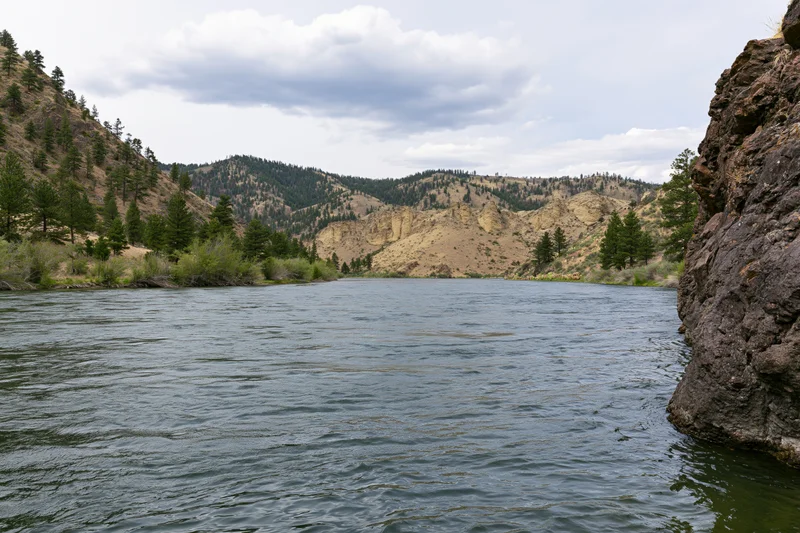 Wide river flowing through a western mountain canyon with pine trees and rocky cliffs