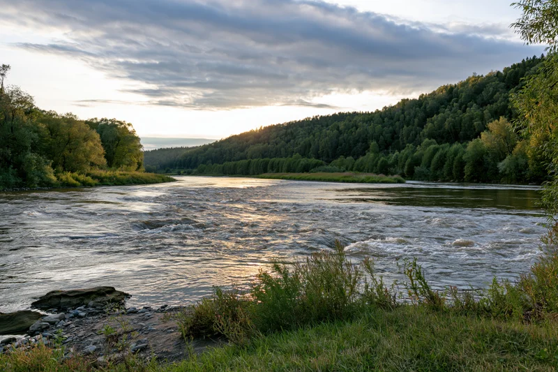 Wide river with shallow rapids flowing through forested landscape at sunset