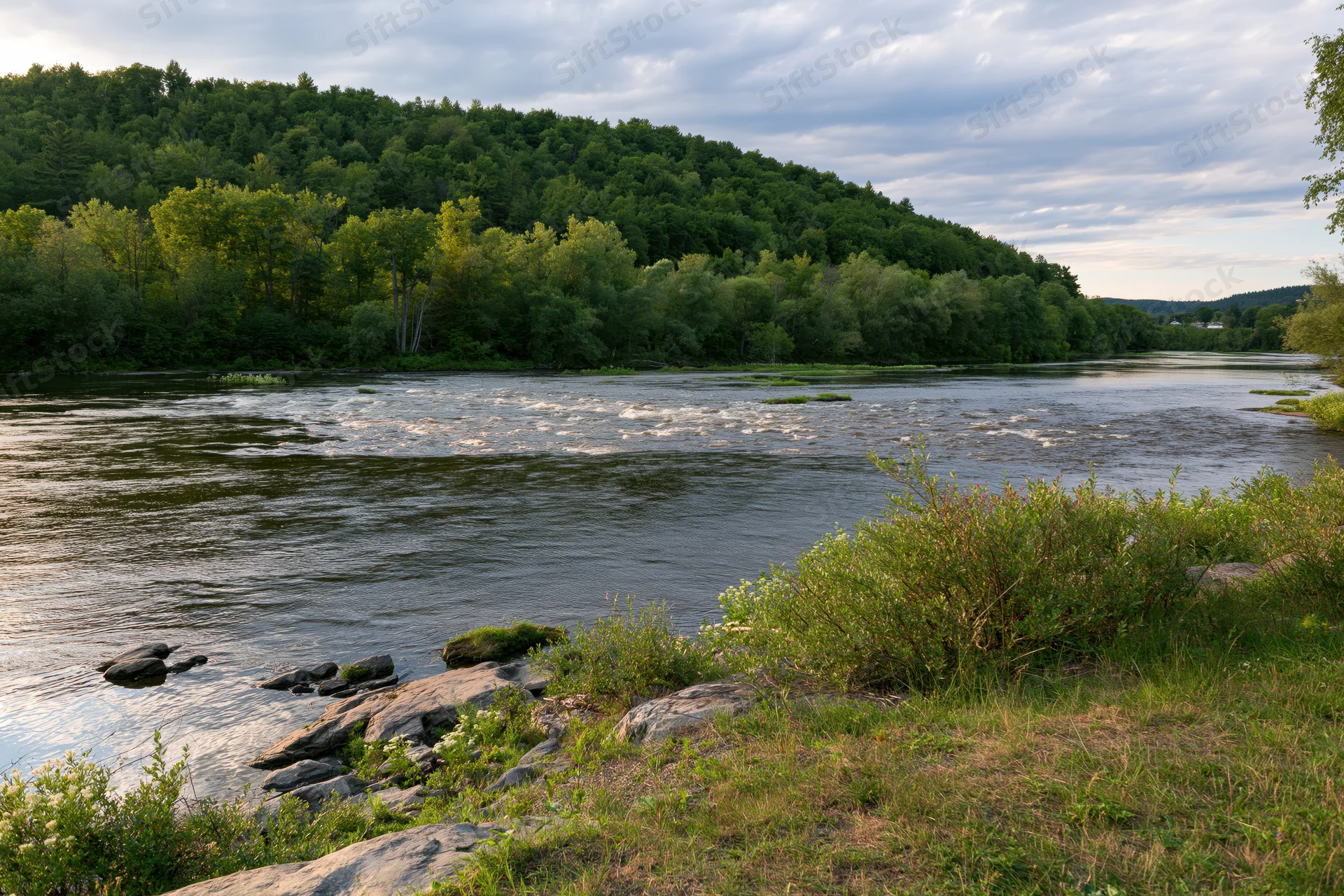Wide river with shallow rapids flowing through forested banks under cloudy sky