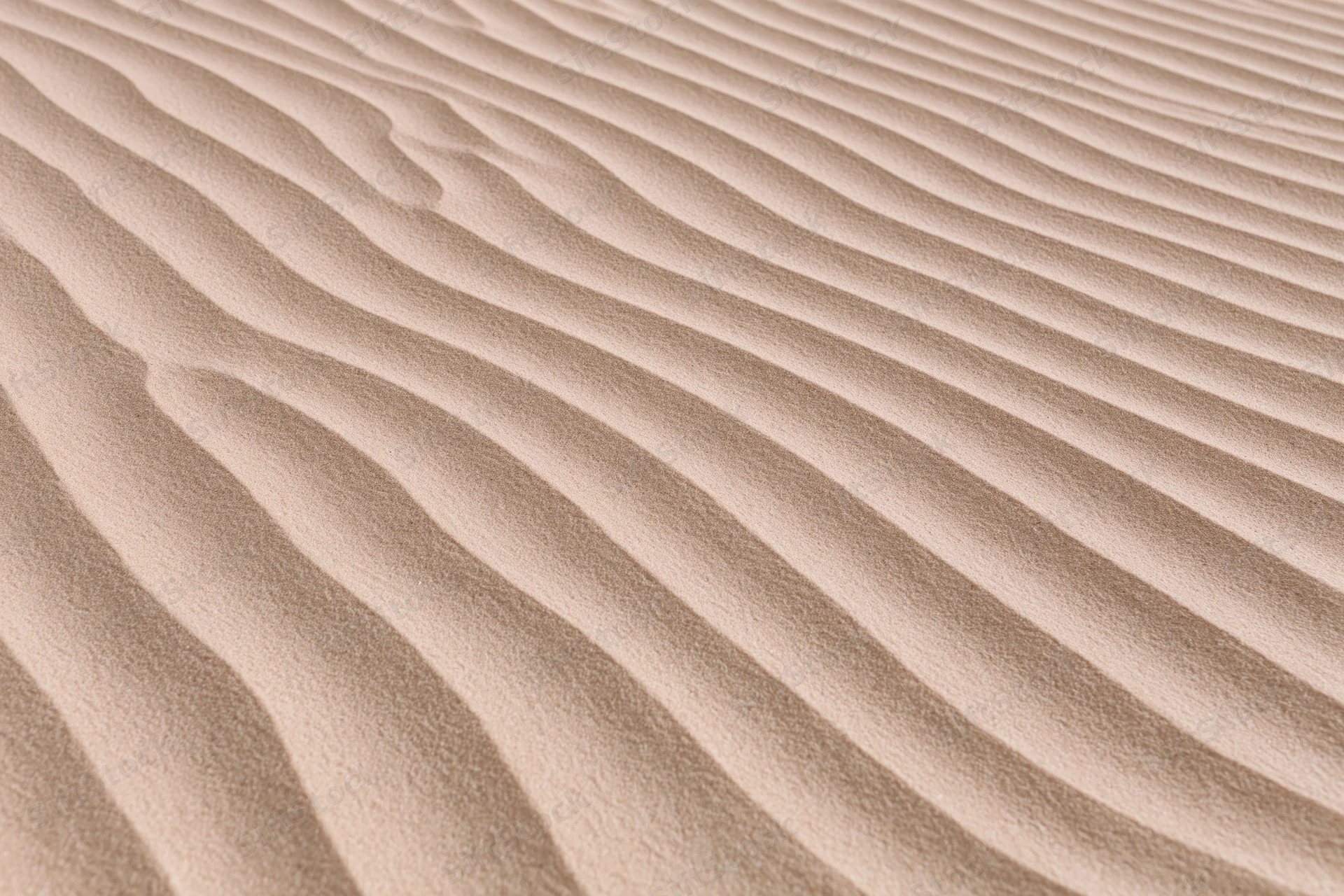 Wind-rippled sand surface in a desert landscape