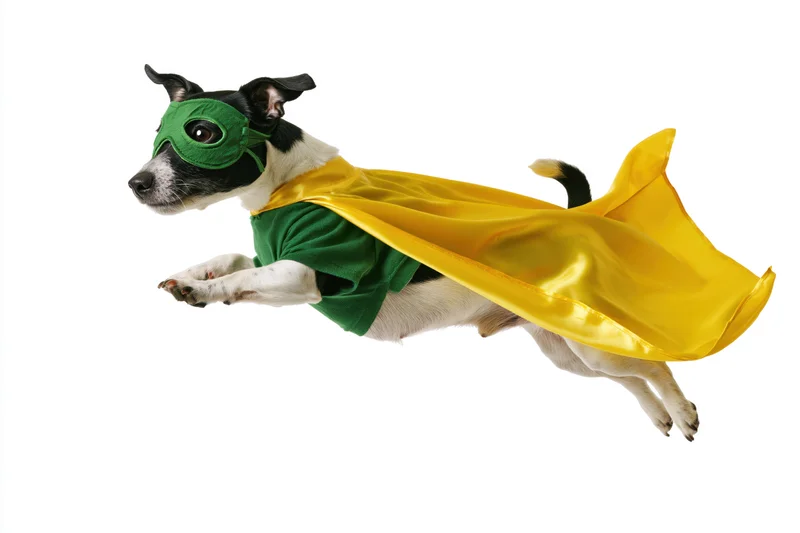 Jack russell terrier in superhero costume mid-leap against white background