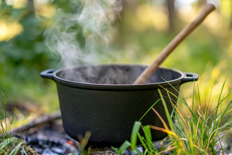 Black cast iron cauldron steaming over a campfire in a grassy forest clearing