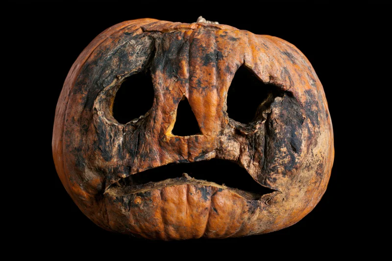 Decayed carved pumpkin with jack-o-lantern face on black background