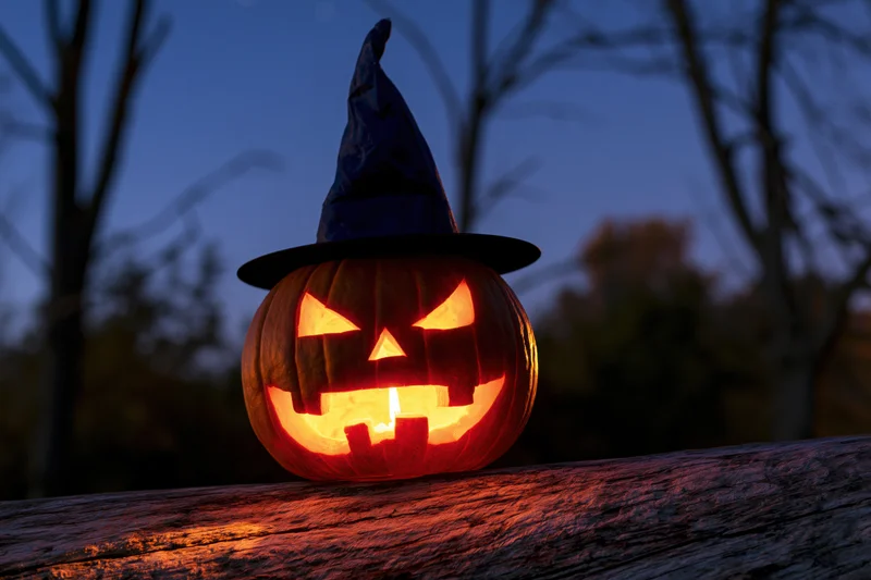 Carved jack-o-lantern with witch hat glowing on wooden fence at twilight