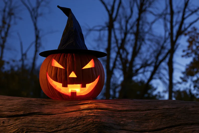 Carved jack-o-lantern with witch hat glowing on wooden log at dusk