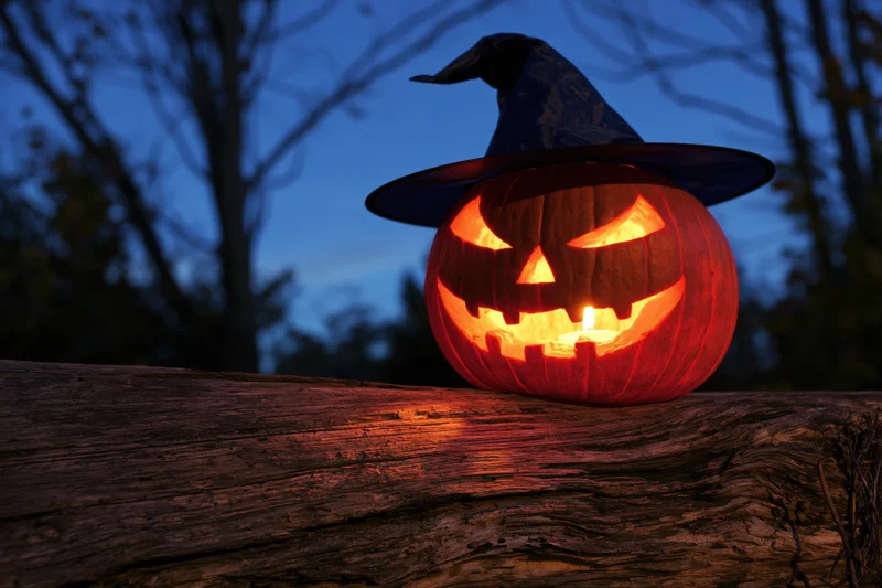 Carved jack-o-lantern with witch hat glowing on wooden log at twilight
