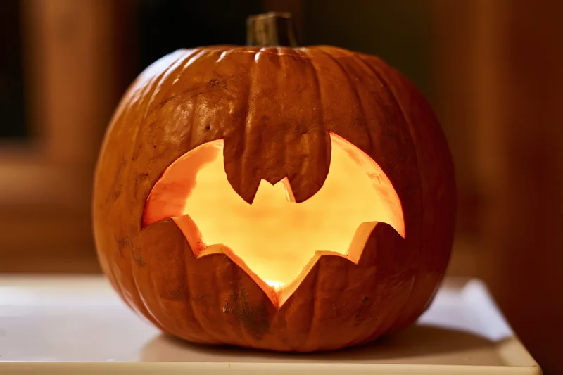 Carved pumpkin with bat-shaped cutout glowing on white surface