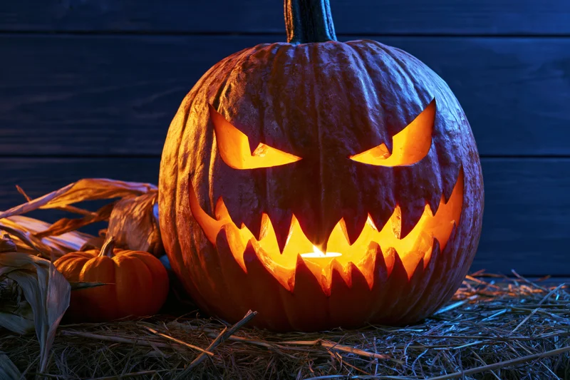 Carved pumpkin glowing with candlelight on hay beside cornstalks against dark wooden wall