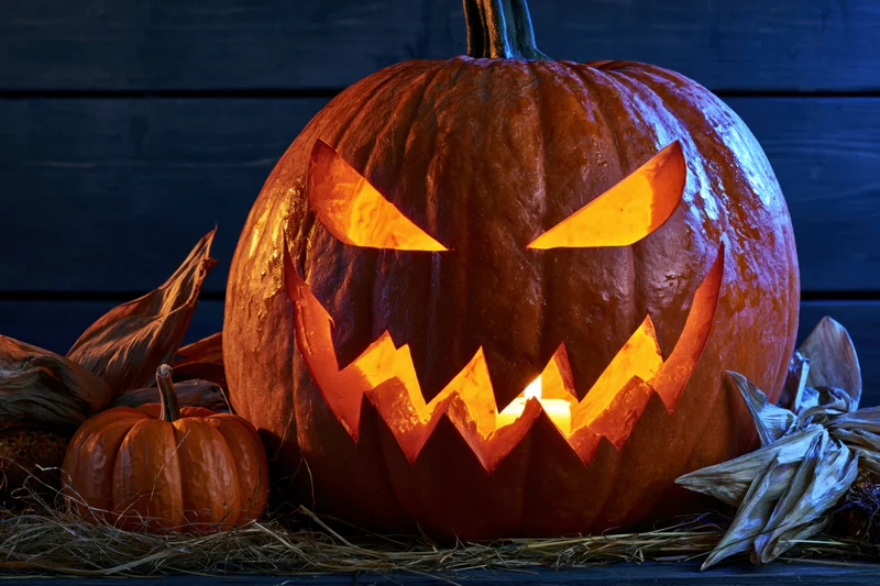Carved jack-o-lantern glowing with warm light on hay surrounded by corn stalks and small pumpkins against dark wooden background