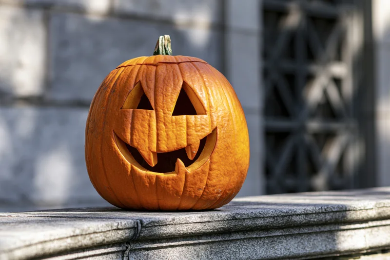 Carved orange jack-o-lantern pumpkin resting on a stone ledge outdoors