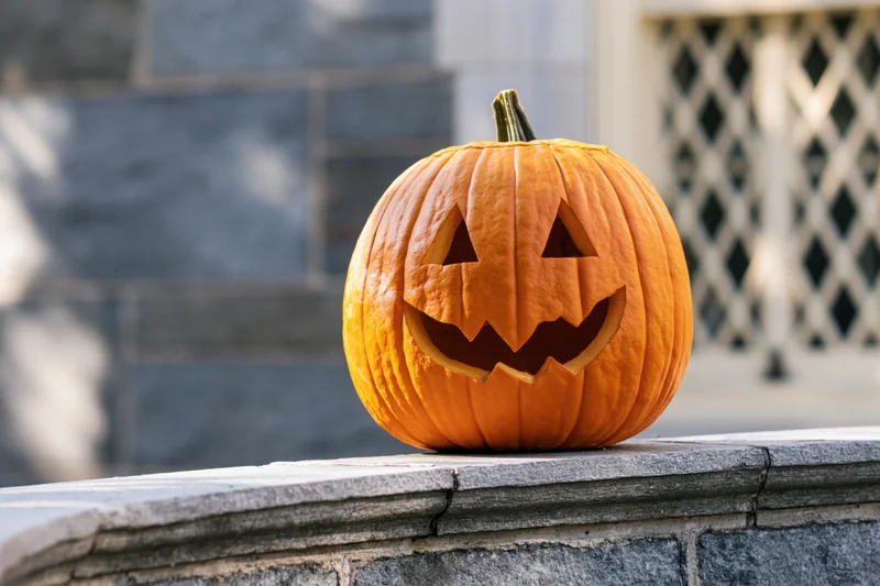 Carved jack-o-lantern pumpkin on stone wall outdoors