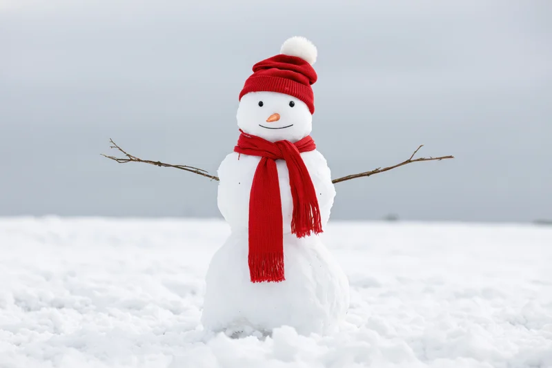 Cheerful snowman with red hat and scarf standing in snowy field