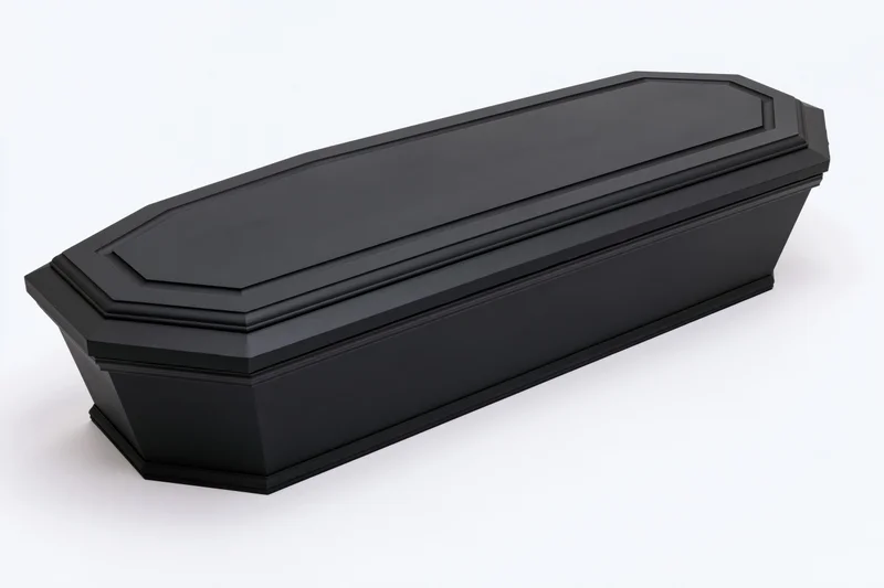 Closed black wooden coffin with routed panel detailing on white background