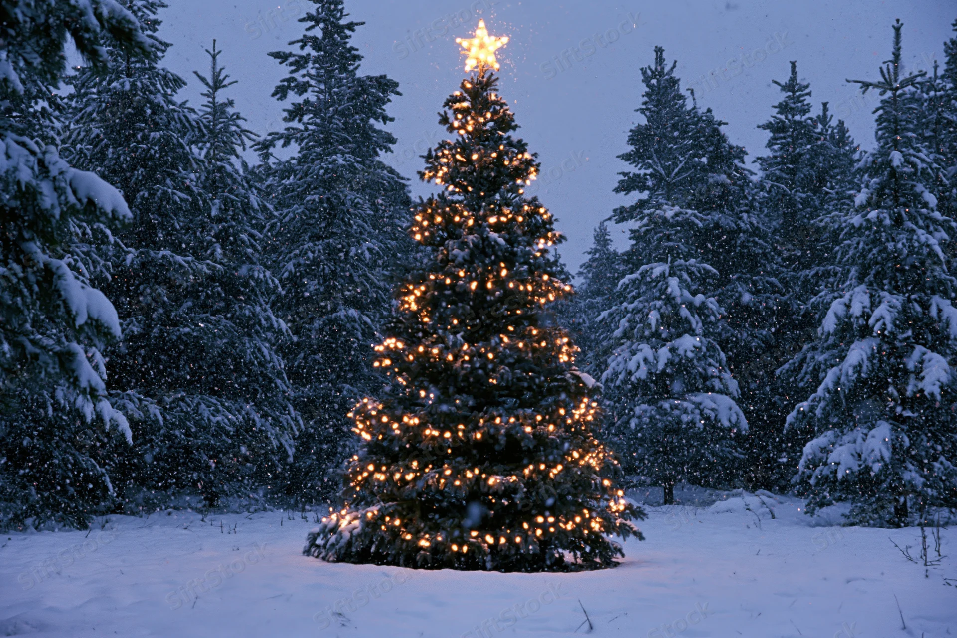 Decorated christmas tree with warm lights and star topper in snowy forest at twilight
