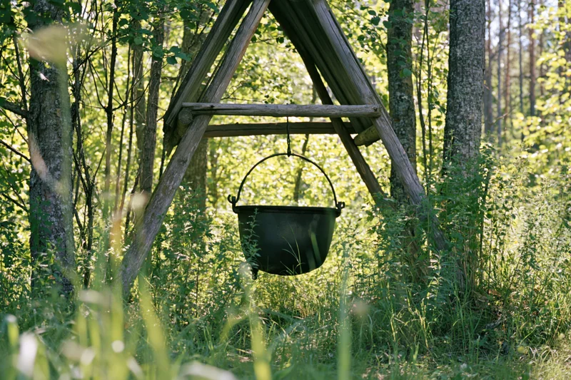 Black cast iron cauldron hanging from wooden frame in forest clearing