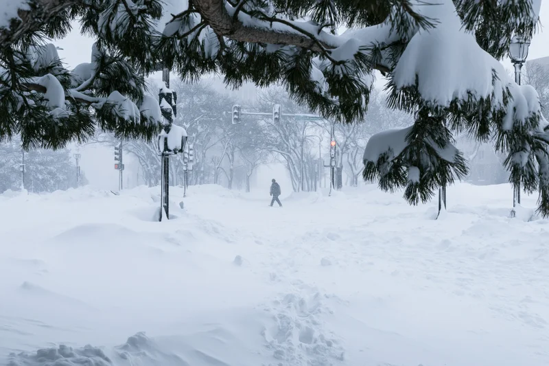 Lone pedestrian walking through snow-covered city street under snow-laden pine branches