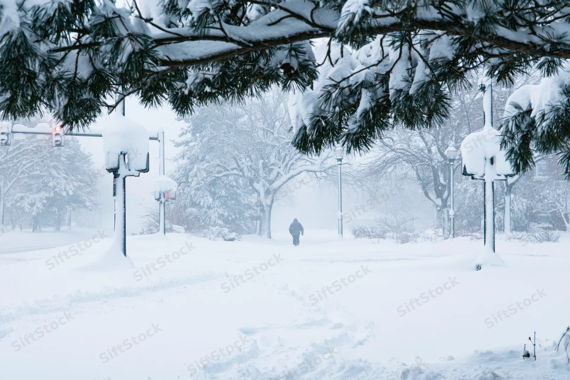 Lone pedestrian walking through snow-covered urban park with snow-laden pine branches overhead