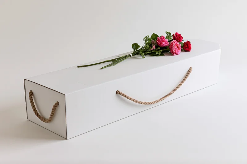 White coffin with rope handles and pink red roses on top, isolated on white background