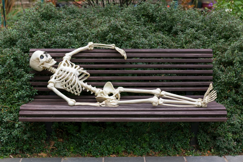 Plastic skeleton lying casually on a dark wooden bench in a garden surrounded by green foliage