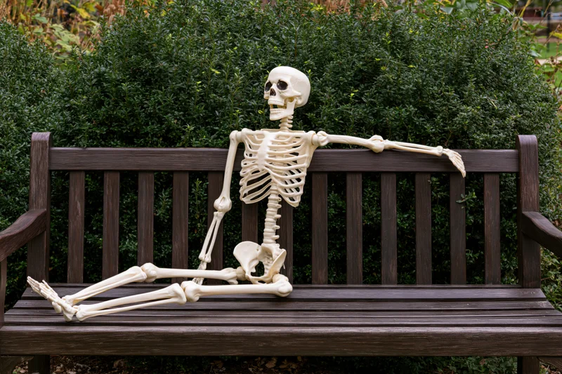 Plastic skeleton prop lounging on dark wooden bench in garden setting