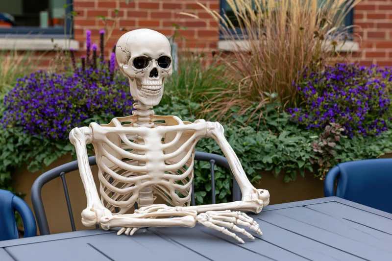 Plastic skeleton wearing sunglasses seated at outdoor patio table surrounded by purple flowers and green foliage