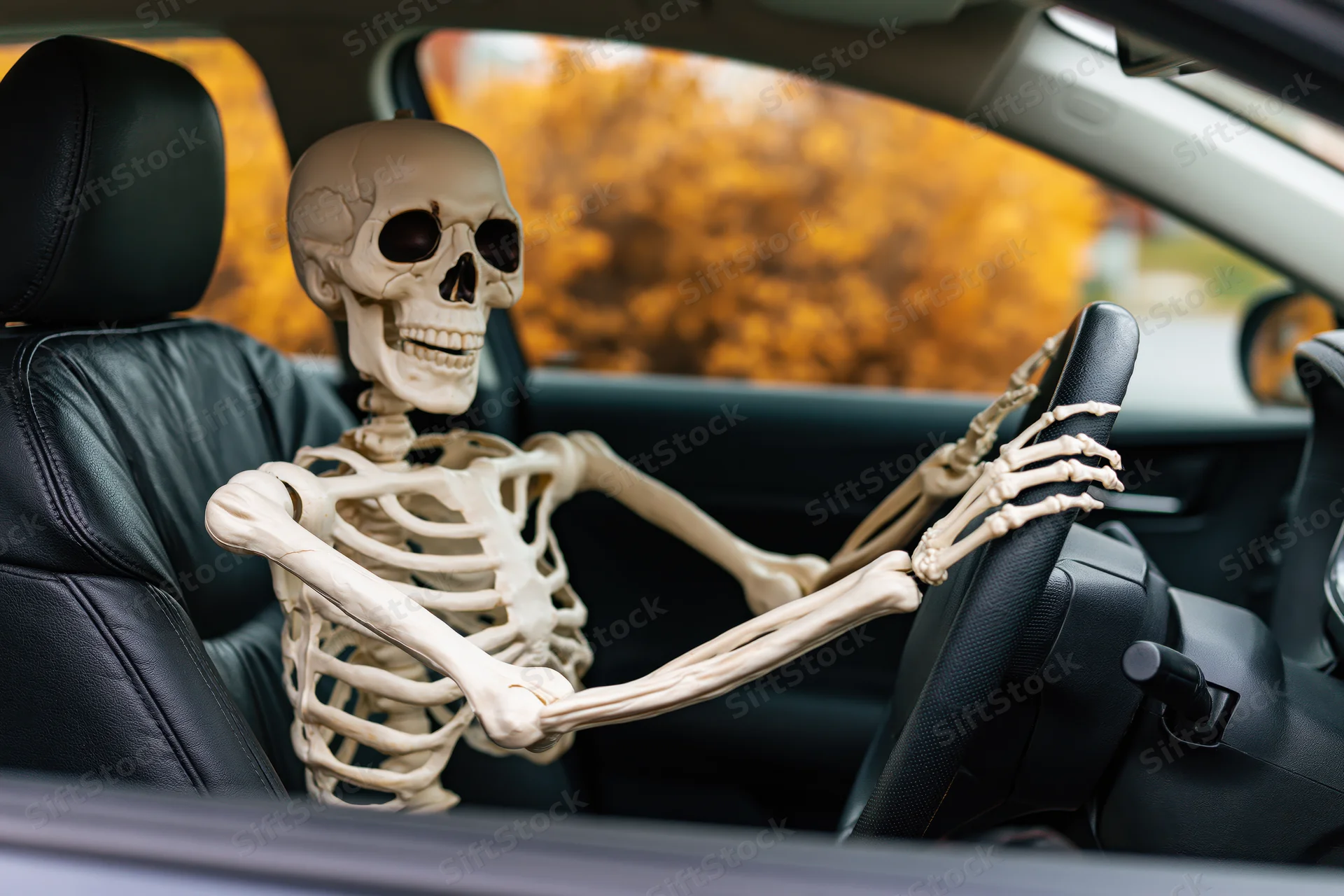 Plastic skeleton prop sitting in driver’s seat of car with hands on steering wheel, autumn foliage visible through window